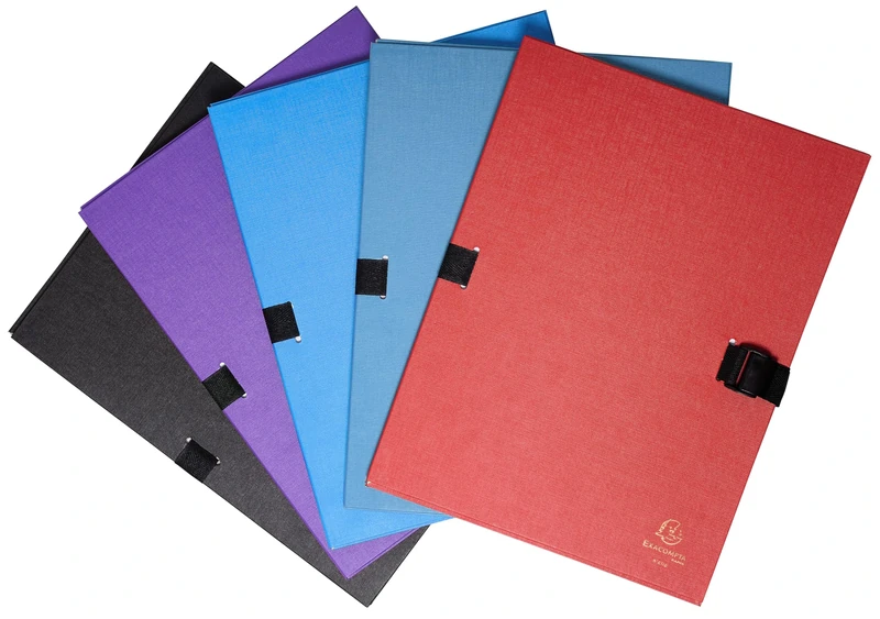 Exacompta - Ref. 21590E - Box of 10 stretch-back folders in N'clip color varnished canvas paper - 1 flap - very practical clip closure - size 24 x 32 cm - for A4 - assorted colors - Image 1