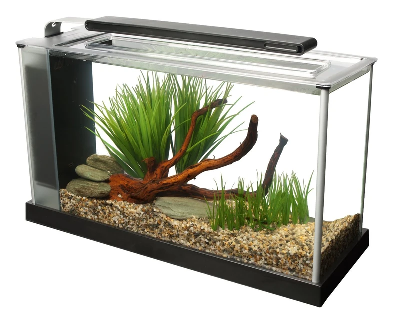 Fluval SPEC 5-Gallon Nano Aquarium Kit with LED Lighting