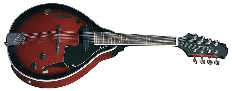 PURE GEWA Tenson F505410 Folk Mandolin - Black/Cherry
