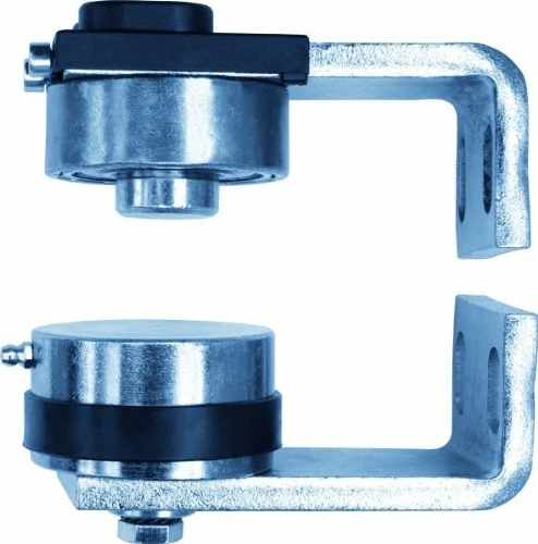 Pair of Pivot Ø 50 in Dichromate Steel Adjustable 25052 to Screw MANTION - 25052 - Image 1