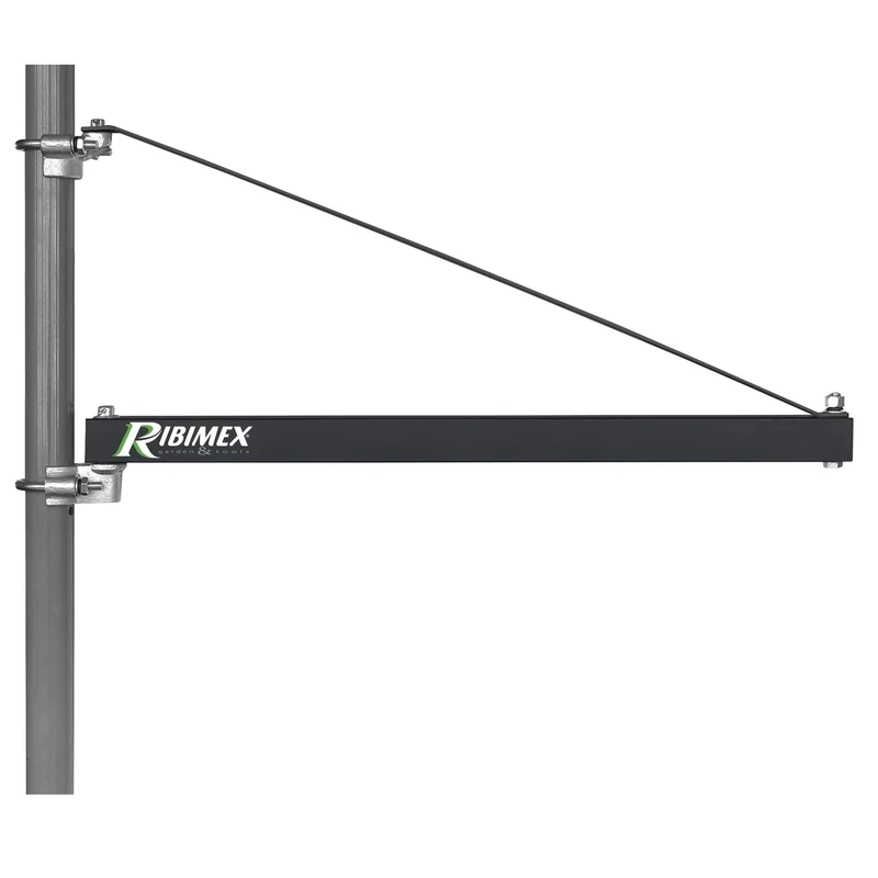 Ribimex