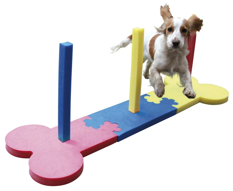 SMALL DOG AGILITY SLALOM