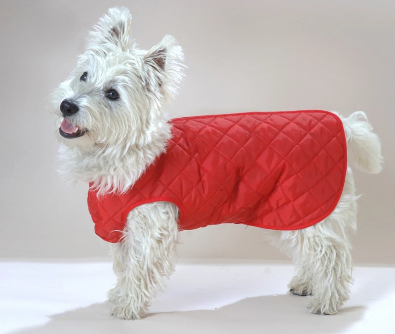 Cosipet Quilted Step in Suit - Red Dog Coat - 30-inch - Image 1