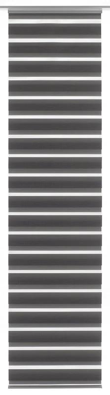 GARDINIA Panel Curtain (1 piece), Sliding, Double Rolling Blind Feel, Panel Curtain Day + Night, Innovative + Patented Technology, Grey, 245 x 60 x 0.021000000000000001 cm