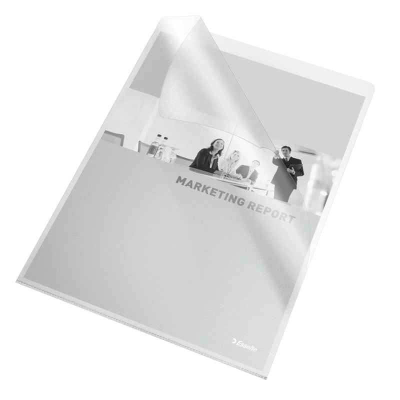 Esselte 46024 Folders with Index
