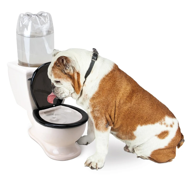 BigMouth Inc The Toilet Water Dish