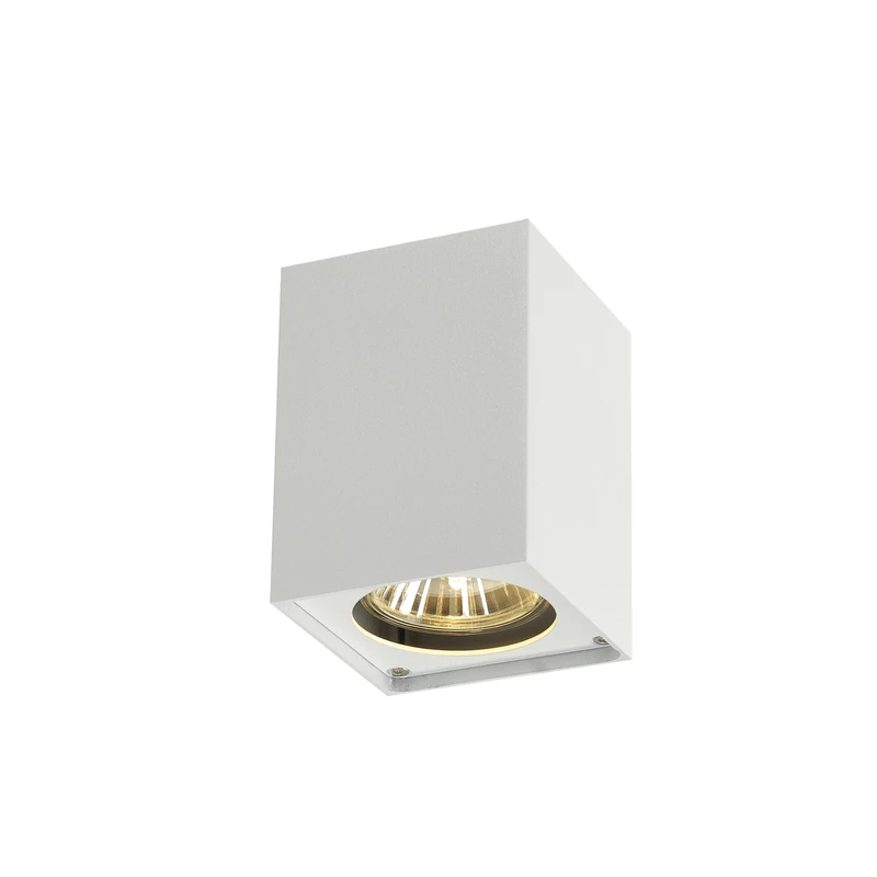 SLV Surface-Mounted Ceiling Light Altra DICE/spot, floodlight, Ceiling spot, Ceiling Light, Surface-Mounted Light, Internal Lighting / GU10 35W White