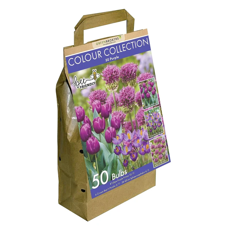Colour Collection Spring Flower Bulbs - Purple (Pack of 50)