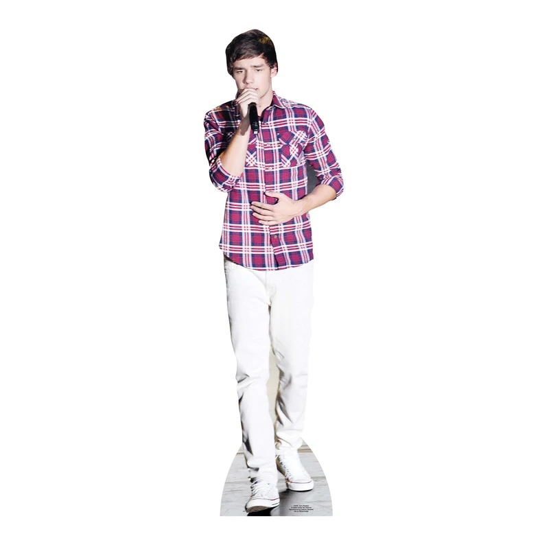 Star Cutouts Cut Out of Liam Payne 1 Direction