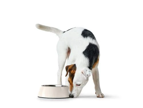 Hunter 92091 Bowl Melamine 1400 ml