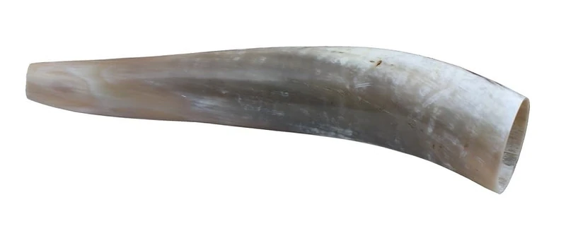 Weisskirchen 510516 Ox Horn 40 cm Brown - Image 1