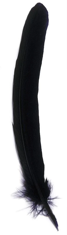 Jacques Herbin 23110T - Quill pen 28 cm blue X 10