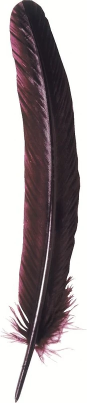 Jacques Herbin 23126T - Quill pen 28 cm burgundy X10