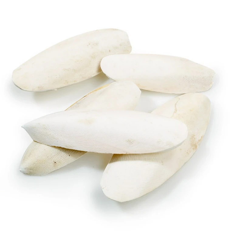 CLASSIC Cuttlebones Bulk Pack 5lb (2.27kg) Birds - Image 1