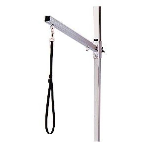 Single stem 50 cm x h 80 cm - Image 1