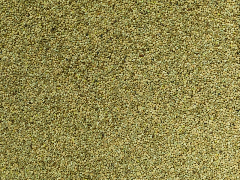 Johnston & Jeff Budgie Food, 20 kg