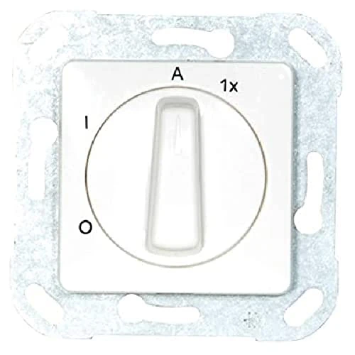 Opus 560.528.02 Outdoor Light Switch, Flush-Mounted, Pure White, 50 x 50 Frame Fusion G 5-f, pw Glass, Polar