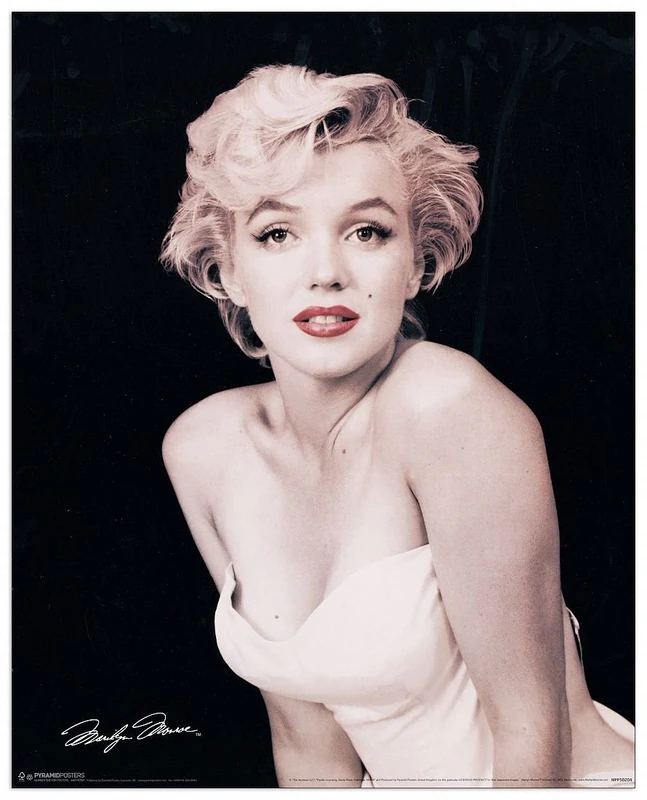 Artopweb Marilyn Monroe Red Lips Decorative Panel, Multi-Colour - Image 1