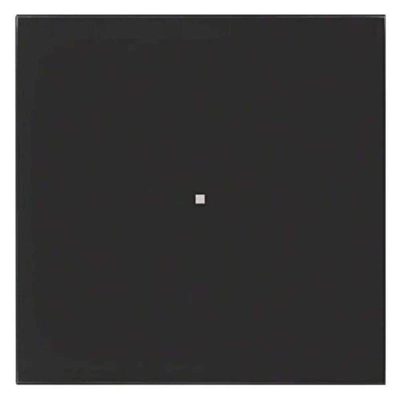 Hager 75161092 Light Switch Black Glass – Light Switches (Black, Glass, IP20, 88.5 mm, 88.5 mm, 1 Piece(s))