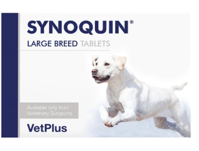 Synoquin Tasty Large Breed x 1 - Image 1
