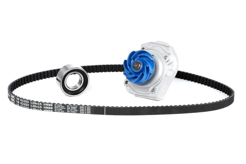 SKF VKMC 02203 Timing belt and water pump kit