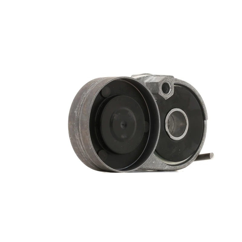 INA Tensioner Lever, V-Ribbed Drive Belt 534011620