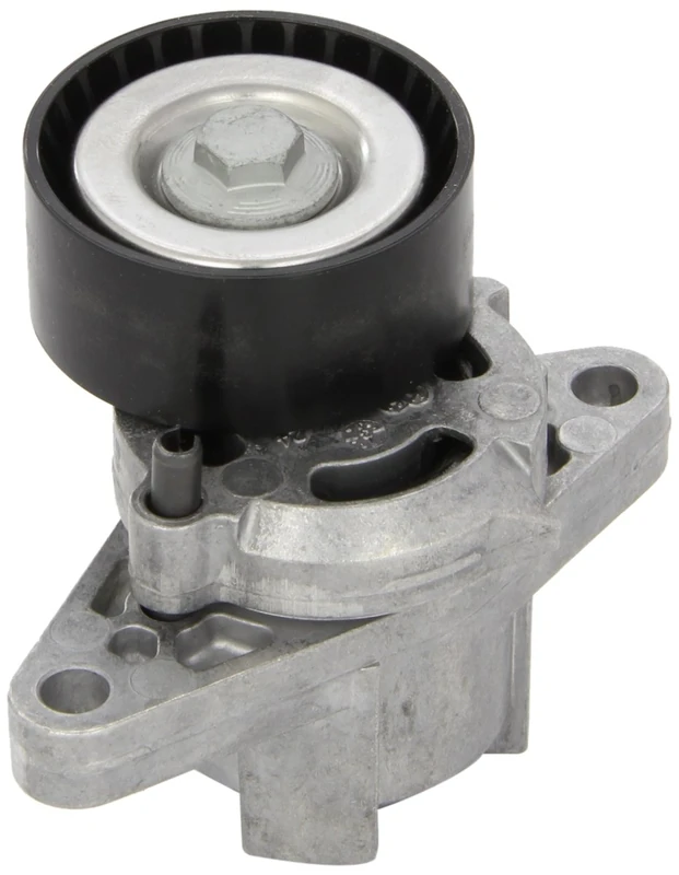 LUK 534027110 Tensioner