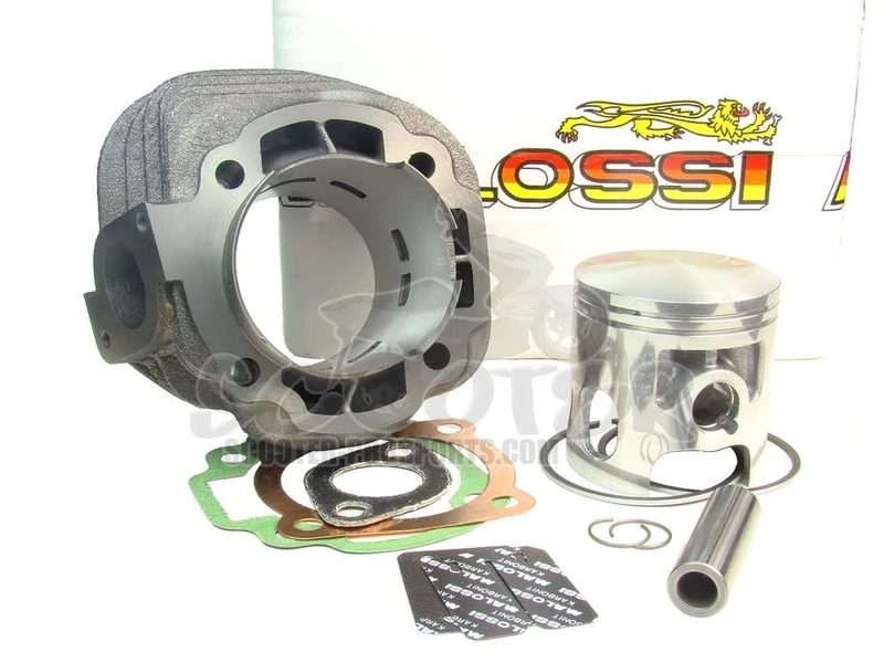 Malossi Sport Cylinder Kit 124ccm for Minarelli 100 2T