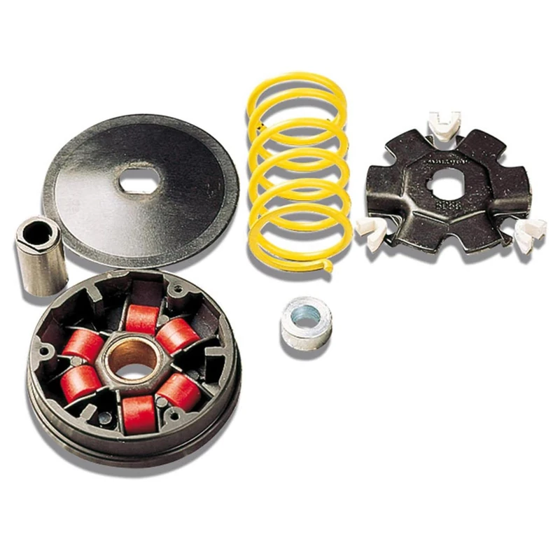MALOSSI M.517073 Variator