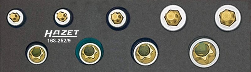 HAZET 163-252/9 Torx Profile Tool Set - CVD-Tin Coated