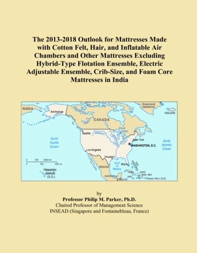 The 2013-2018 Outlook for Mattresses Made with Cotton Felt, Hair, and Inflatable Air Chambers and Other Mattresses Excluding Hybrid-Type Flotation ... Crib-Size, and Foam Core Mattresses in India
