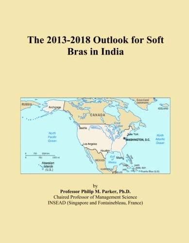 The 2013-2018 Outlook for Soft Bras in India
