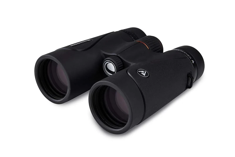 Celestron 71406 TrailSeeker 10x42 BaK-4 Prism Binoculars, Black