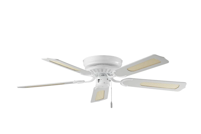 Decorative Ceiling Fan BC 837