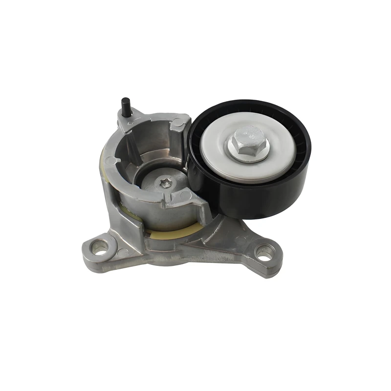 SKF VKM 33019 Multi-V tensioner kit