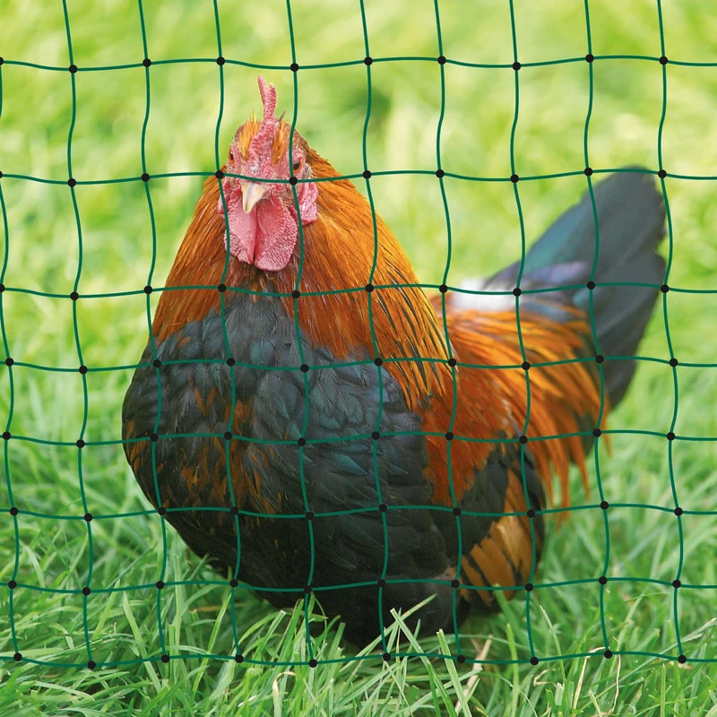 Kerbl Poultry Net single prong, electrifiable, 25 m, 112cm green