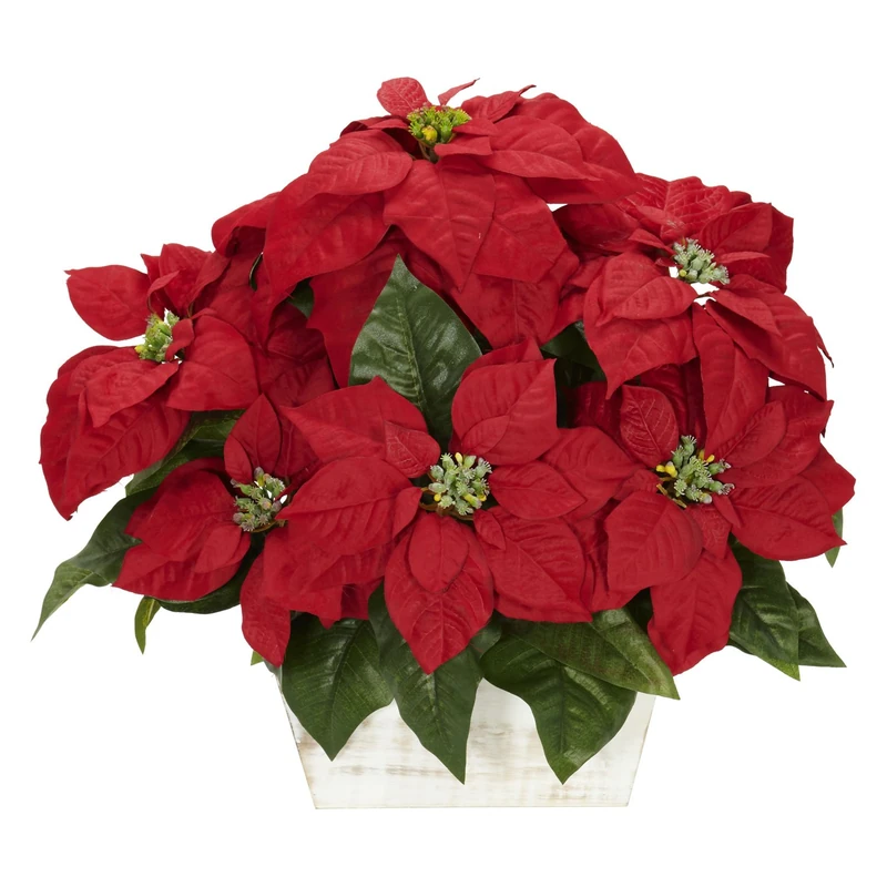 Nearly Natural Poinsettia w/White Wash Planter Silk Arrangement