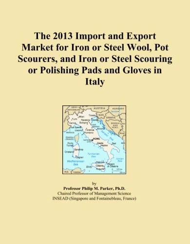 The 2013 Import and Export Market for Iron or Steel Wool, Pot Scourers, and Iron or Steel Scouring or Polishing Pads and Gloves in Italy