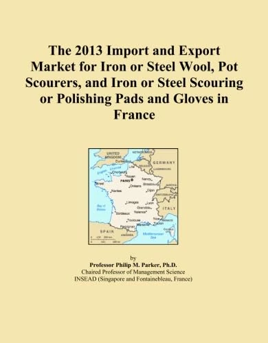 The 2013 Import and Export Market for Iron or Steel Wool, Pot Scourers, and Iron or Steel Scouring or Polishing Pads and Gloves in France
