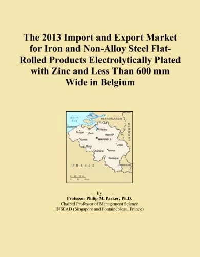 The 2013 Import and Export Market for Iron and Non-Alloy Steel Flat-Rolled Products Electrolytically Plated with Zinc and Less Than 600 mm Wide in Belgium