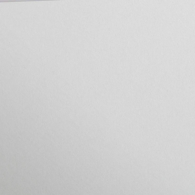 Clairefontaine - Ref 97872C - Maya Coloured Smooth Drawing Paper (Pack of 50 Sheets) - 120gsm Paper - A1 (84 x 59.4cm) - Light Grey Colour - Deep Dyed, Acid Free, pH Neutral
