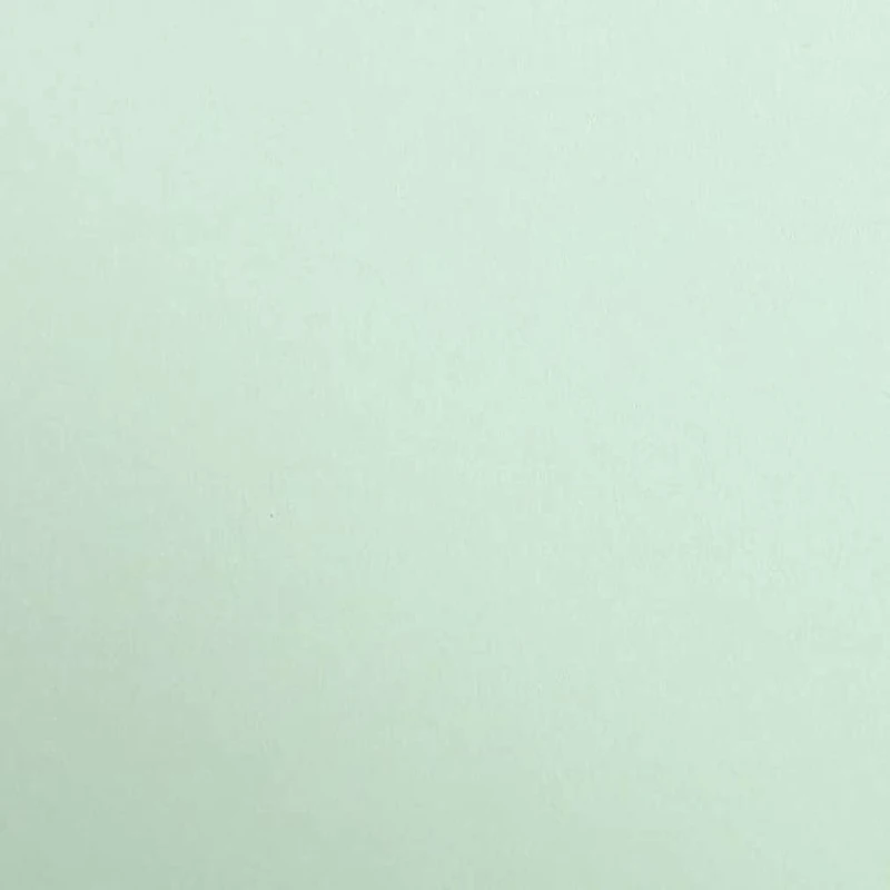 Clairefontaine - Ref 97968C - Maya Coloured Smooth Drawing Paper (Pack of 25 Sheets) - 270gsm Paper - A1 (84 x 59.4cm) - Mint Colour - Deep Dyed, Acid Free, pH Neutral
