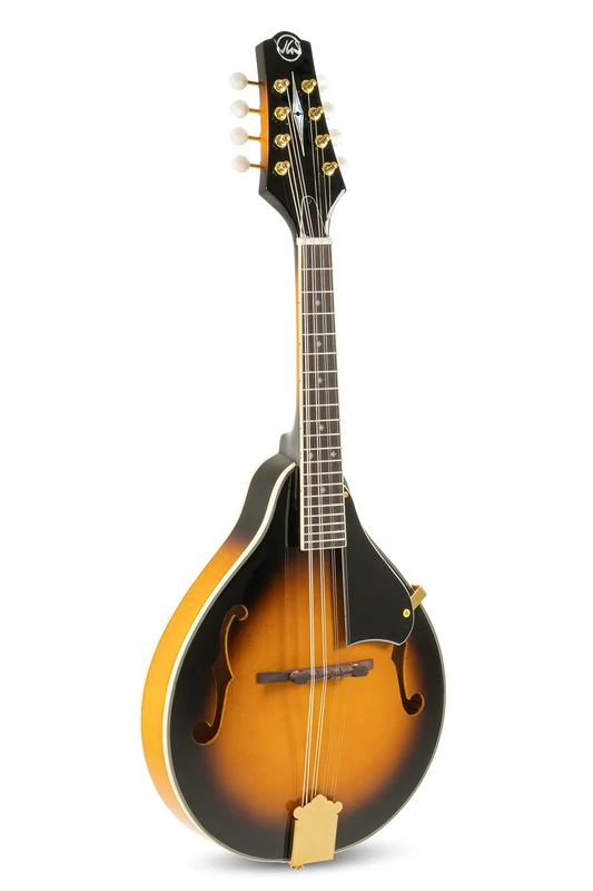 GEWA Mandolin A-2 Premium Sunburst with case