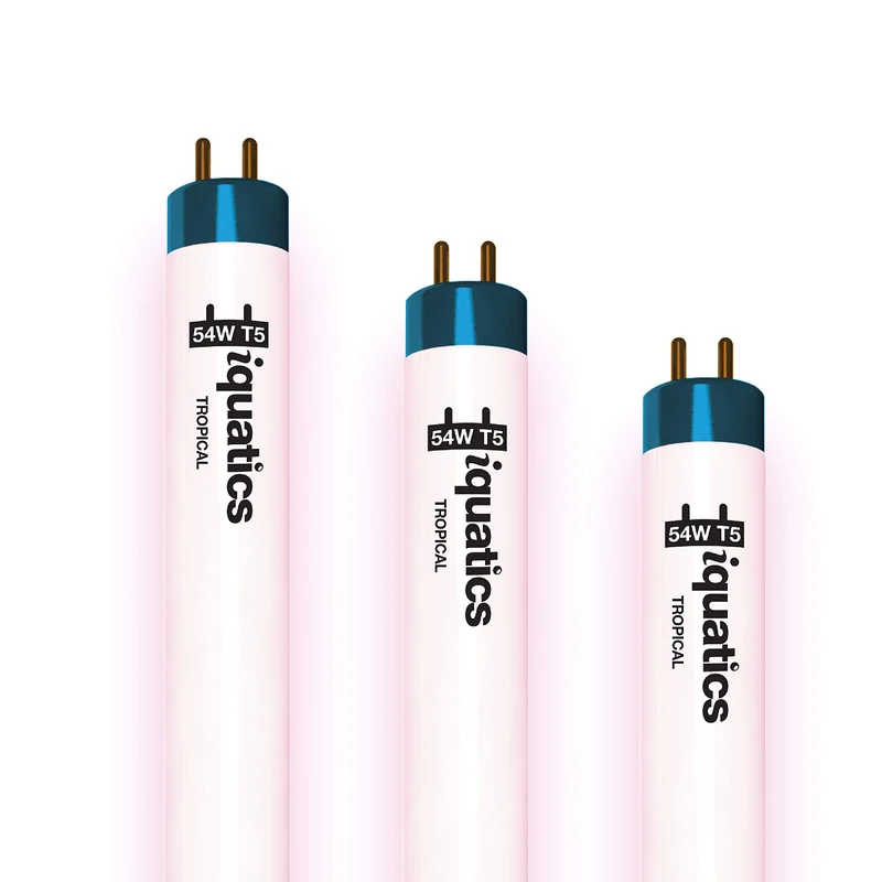 iQuatics Aquarium Tropical Fish Tank Fluorescent Light Bulb T5 (3 Pack), Tropical, 54w 1150mm 46”