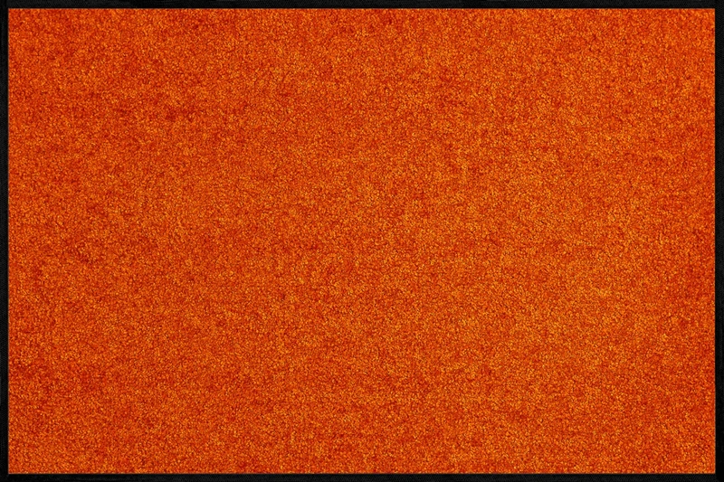 wash+dry Doormat Burnt Orange 60x90 cm orange