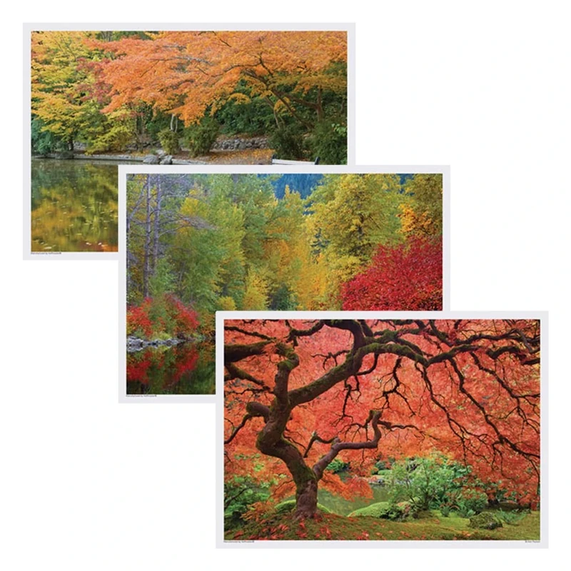 Hoffmaster 702078 Placemat Multipack, Table Placemats, 3 Designs, 14'' Length x 10'' Width, Fall (Case of 1000) - Image 1