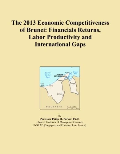 The 2013 Economic Competitiveness of Brunei: Financials Returns, Labor Productivity and International Gaps