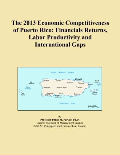 The 2013 Economic Competitiveness of Puerto Rico: Financials Returns, Labor Productivity and International Gaps