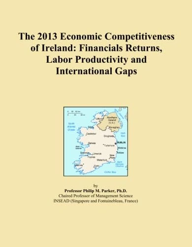 The 2013 Economic Competitiveness of Ireland: Financials Returns, Labor Productivity and International Gaps