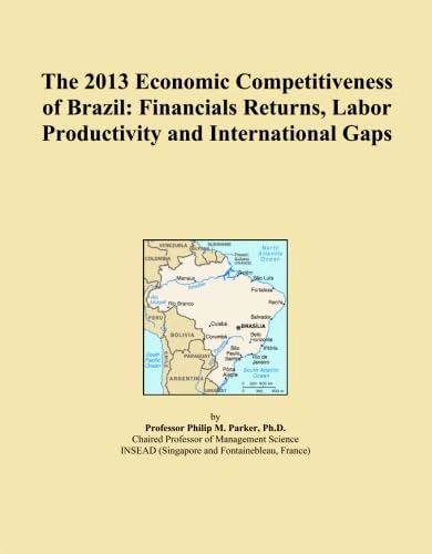 The 2013 Economic Competitiveness of Brazil: Financials Returns, Labor Productivity and International Gaps